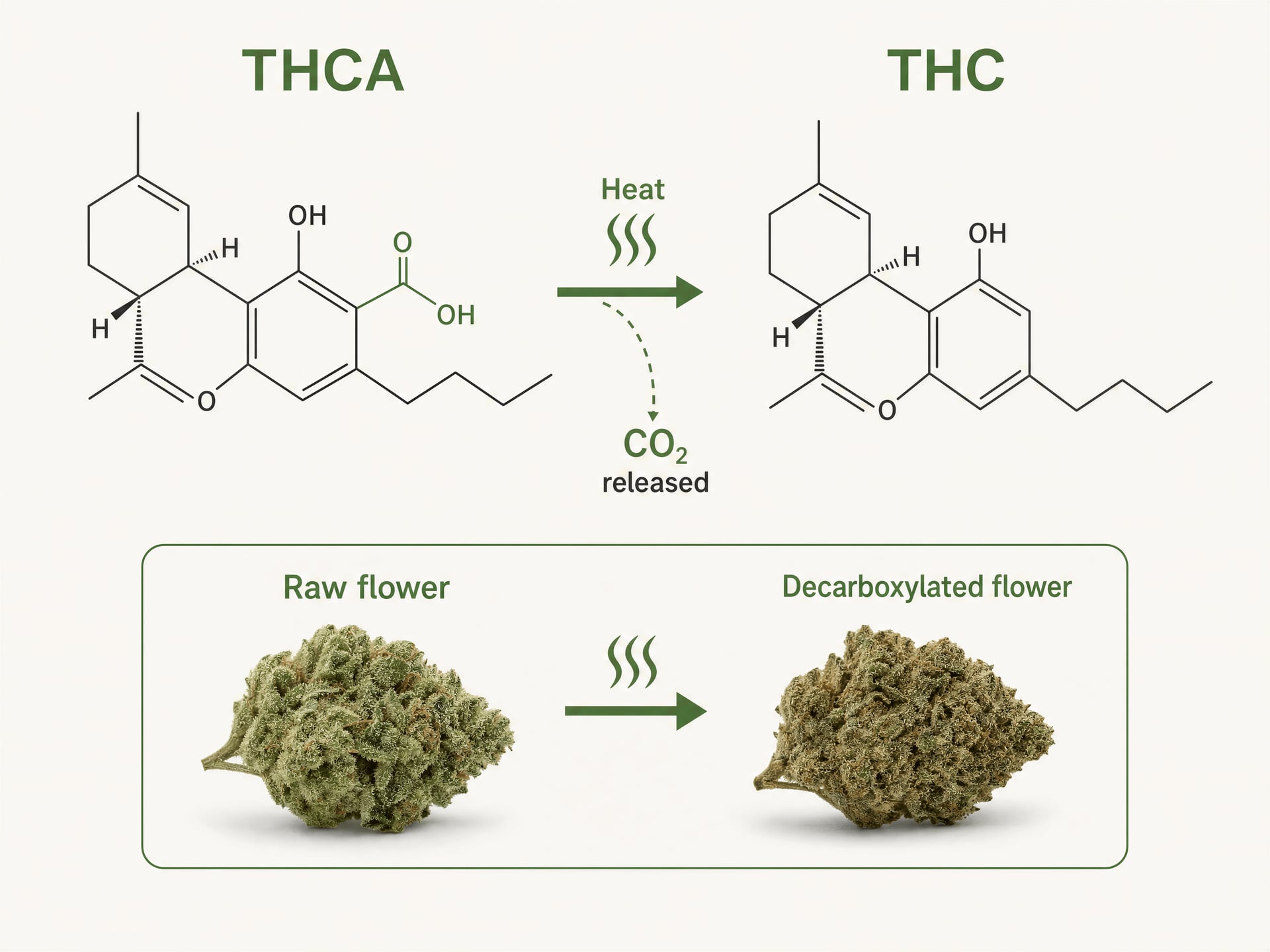 Diagram of THCA converting to THC with heat and carbon dioxide release.